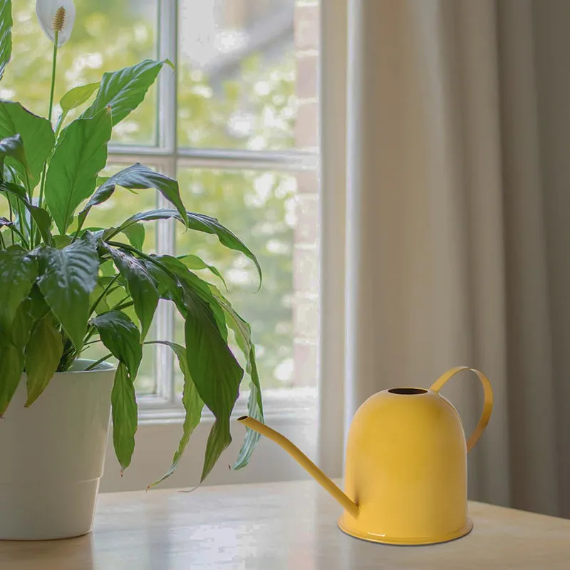 Driv Metal Watering Can media 3