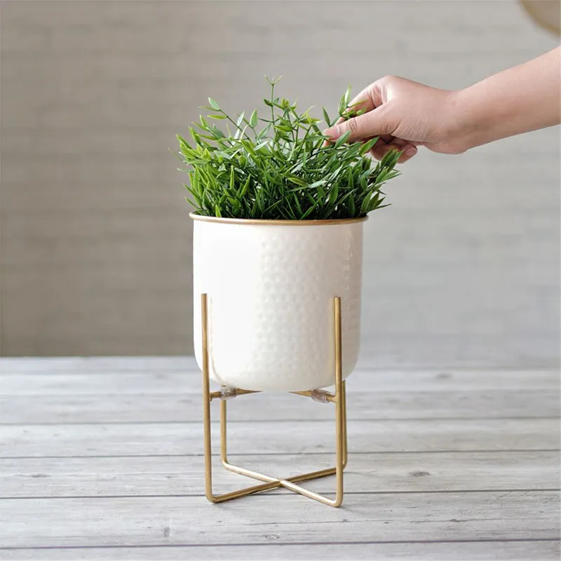 Rhaella Iron Planter - Small media 4
