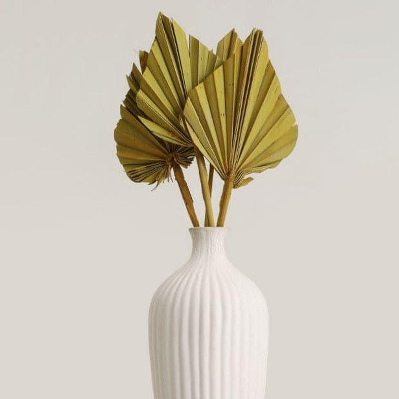 Palzi Dried Palm Stick (Yellow) - Set Of Five media 3