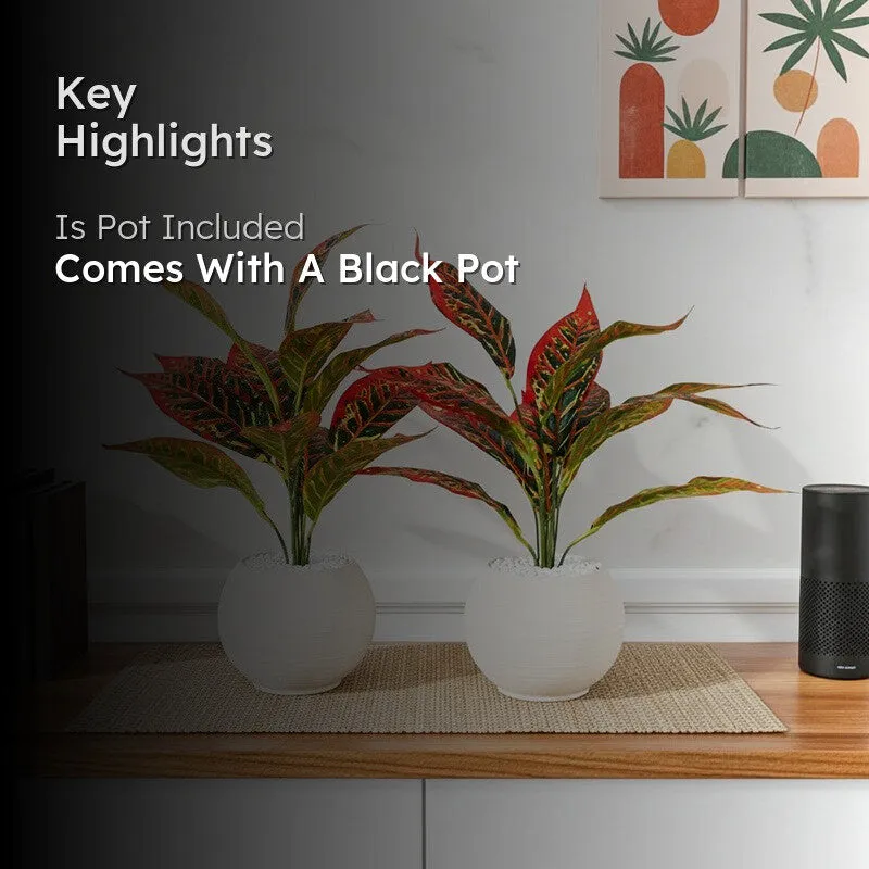 Faux Red Croton Plant With Black Plastic Pot (50 cms) - Set Of Two - 2