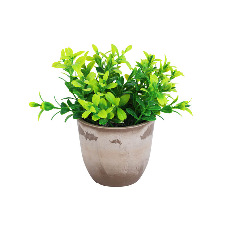 Artificial Mini Green Bush With Black Plastic Pot (Set Of Two) media 3