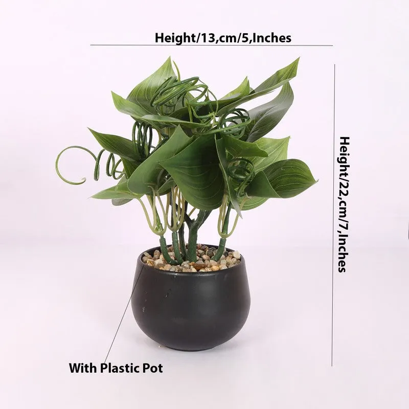 Feng Shui Artificial Money Plant With Pot media 5