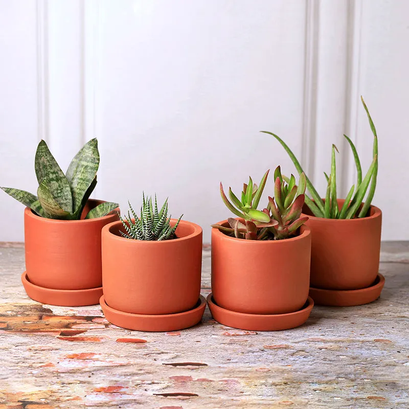 Lark Terracotta Planter - Set Of Four media 2