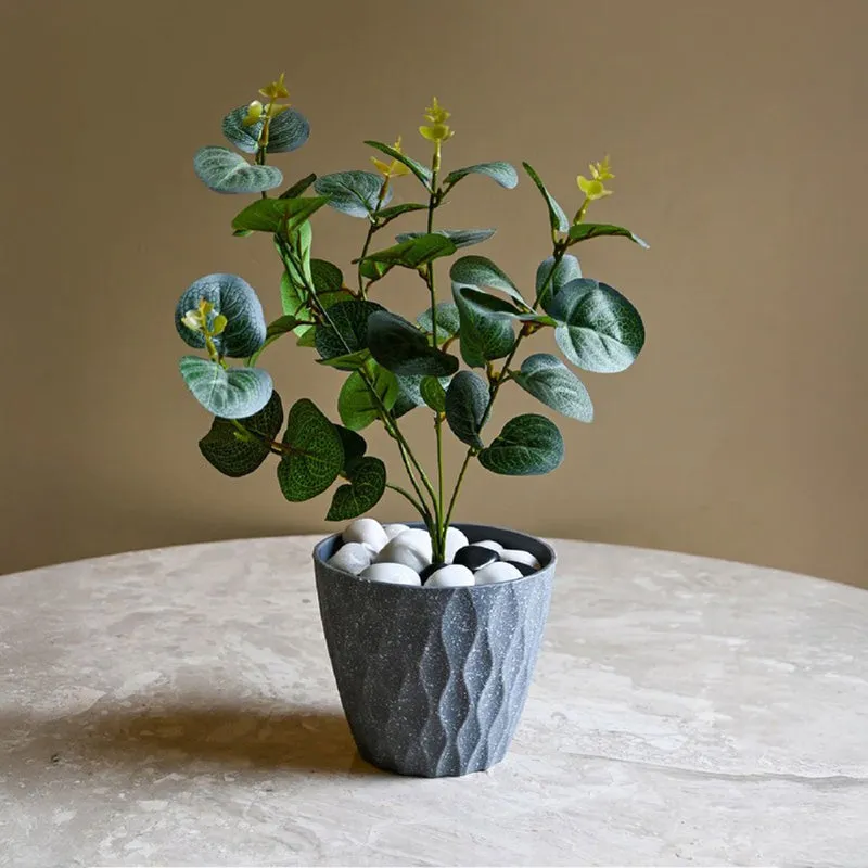 Zenvia Textured Plastic Planter - Set Of Five media 4