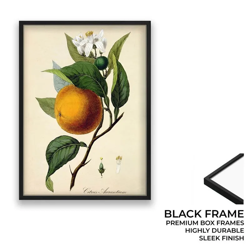 Tropical Zest Archival Canvas Wall Art - Black media 8
