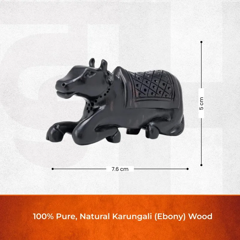 Shivansh Nandi Ebony Wood Idol media 9
