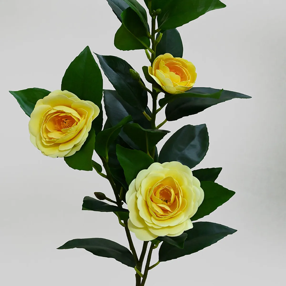 Close-up of three yellow artificial rose blooms with glossy green leaves
