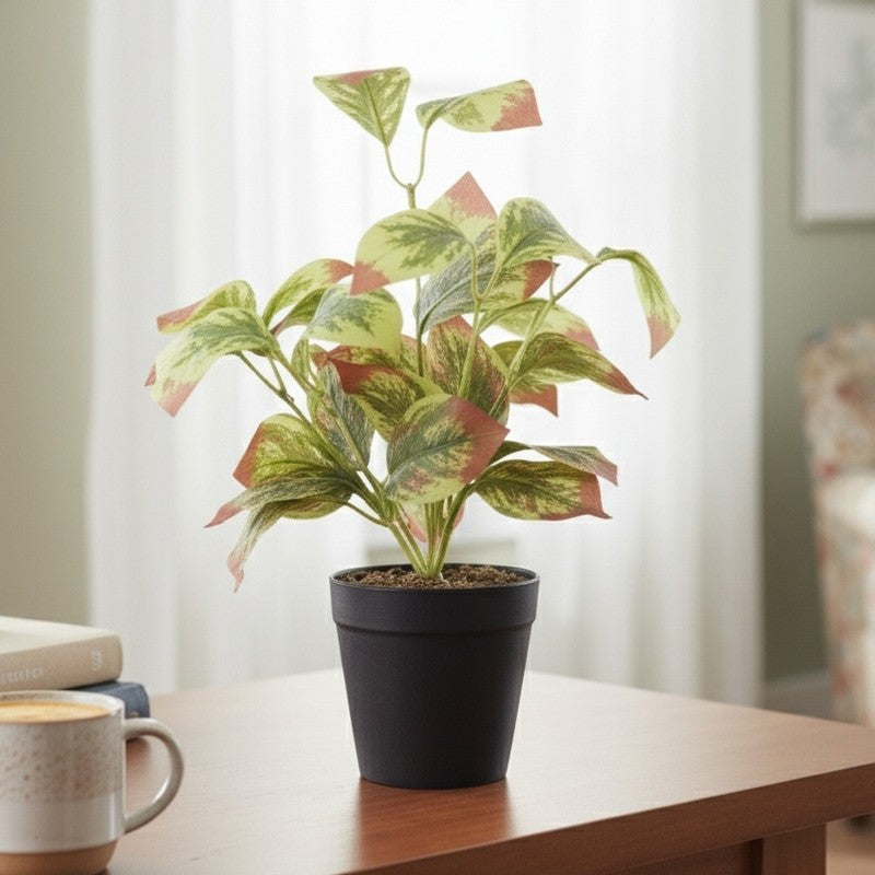 Artificial Aglaonema Star Plant With Black Fiber Pot (Light Pink) - 0.9 Feet media 5