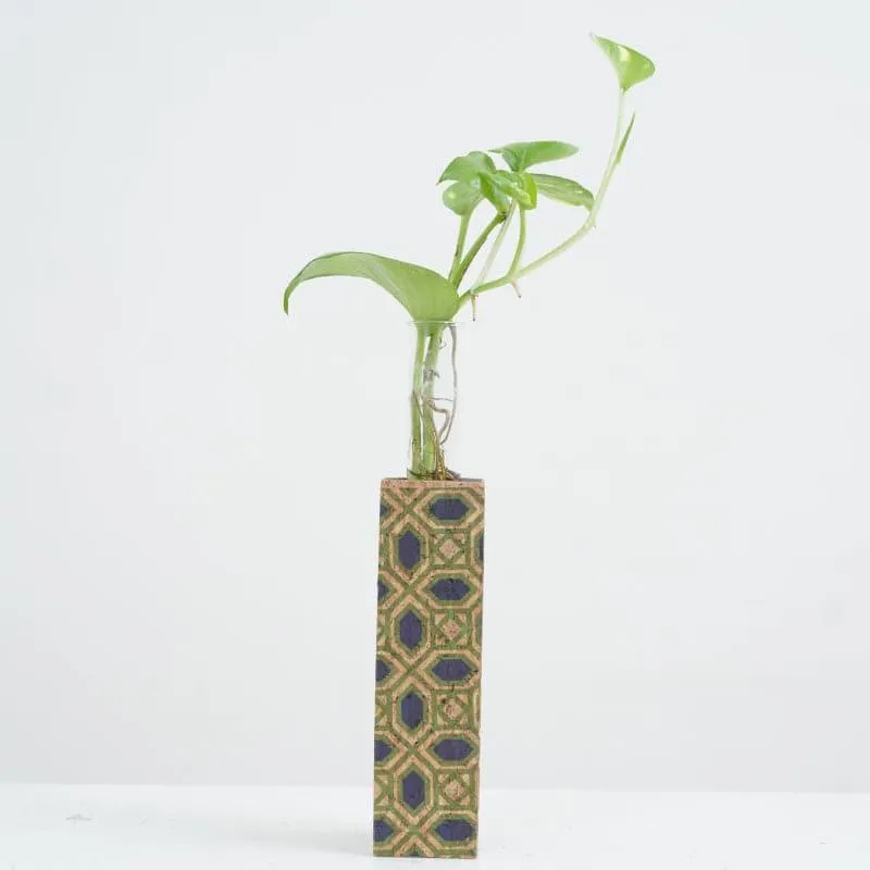 Reema Cork Testube Planter media 1