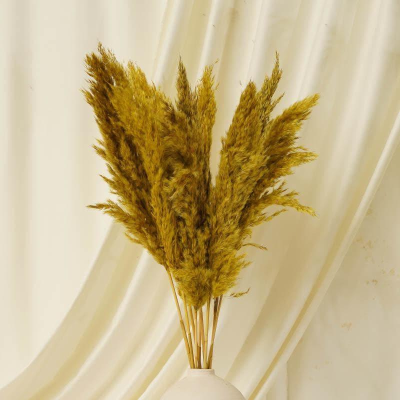 Natural Fiber