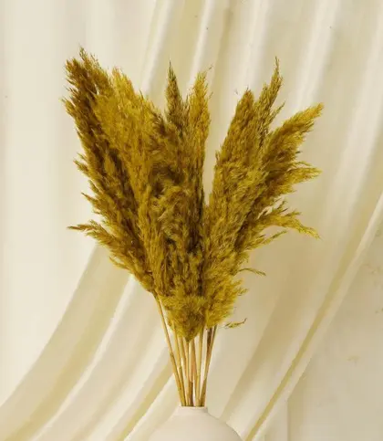 Natural Fiber