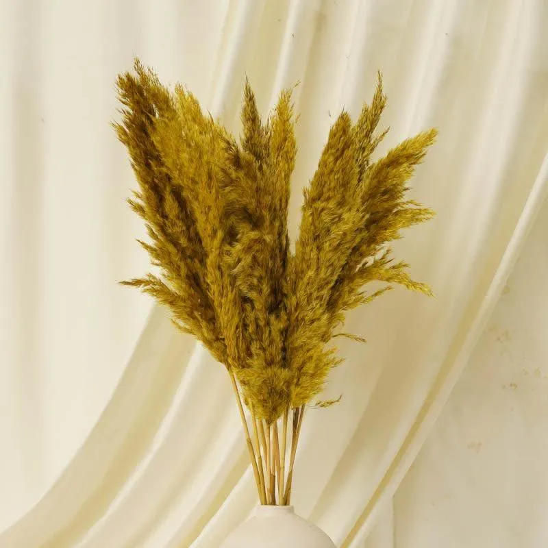 Puffy Pampas Stems (2.62 ft) - Yellow media 1