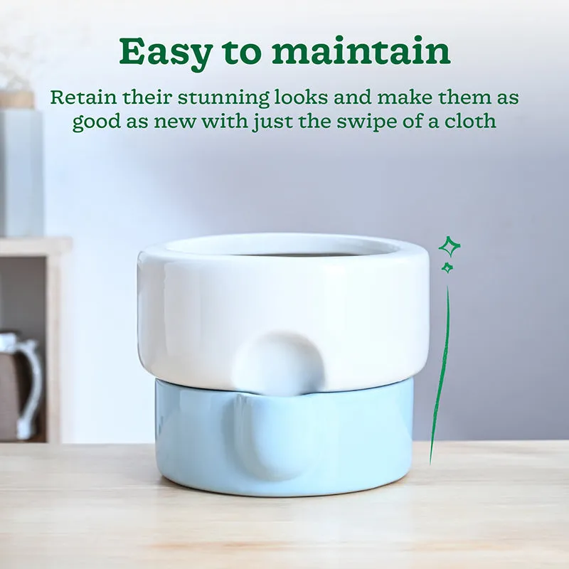 Ugaoo Lady Leafington Ceramic Planter - White & Blue media 4