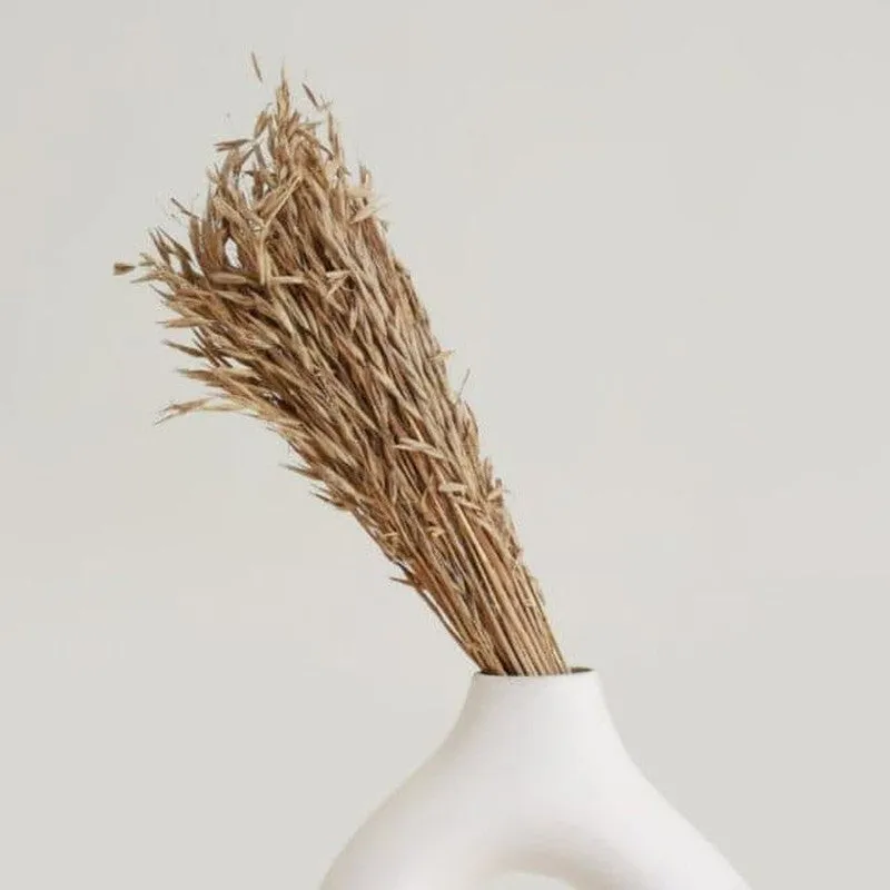 Hazo Millet Grass Dried Havana Grass Bunch - Brown media 1
