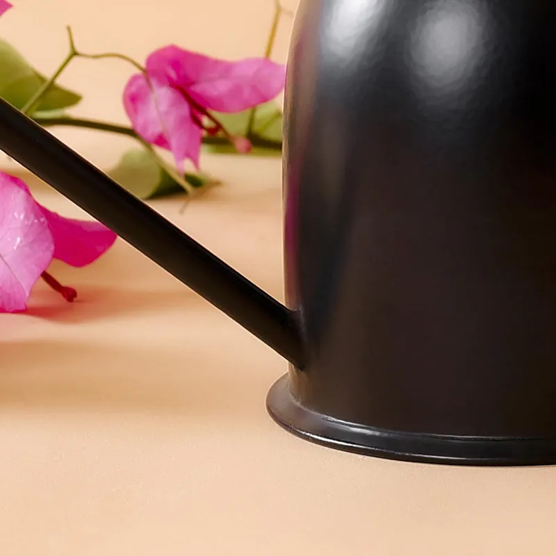 Spry Metal Watering Can media 3