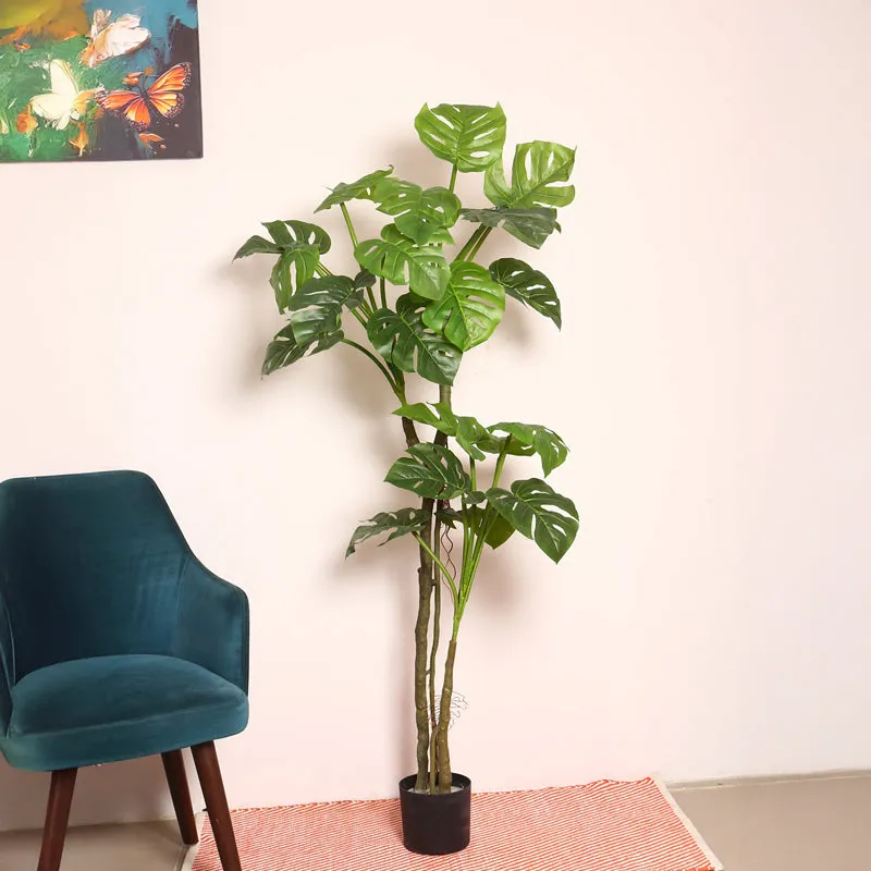 Monever Artificial Monstera With Black Plastic Pot - 6 Feet media 3