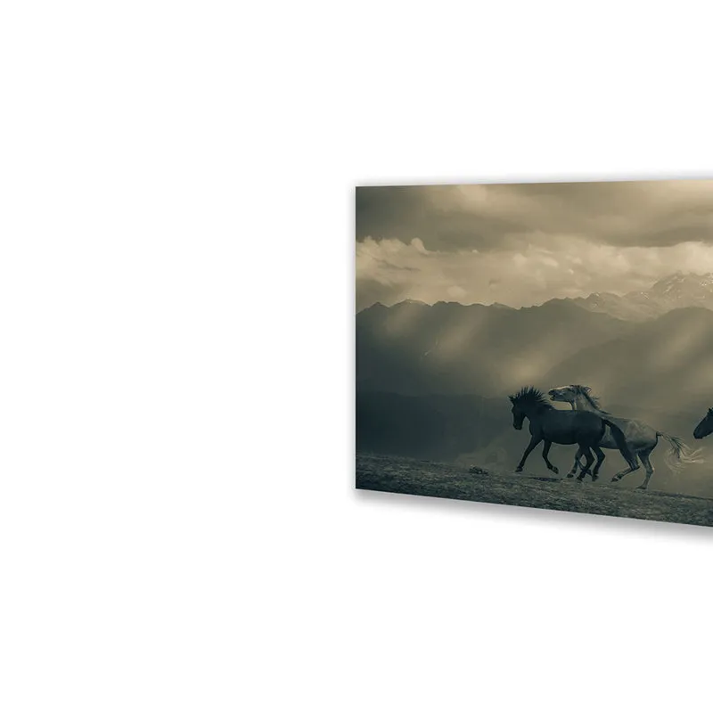 Equine Silhouette Wall Art media 4