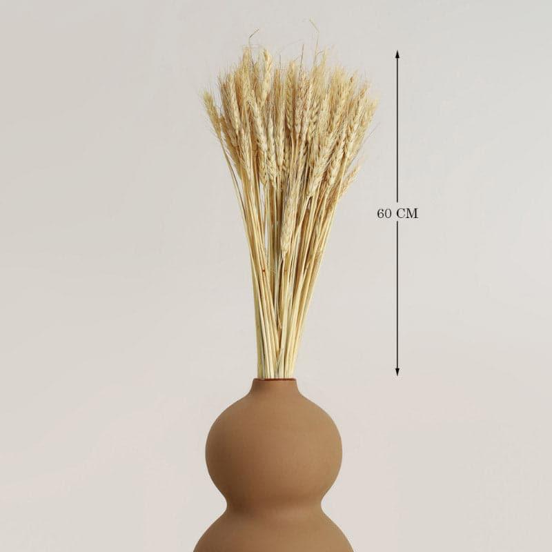 (Beige) Dried Wheat Stems (60 cms) - Set Of Twenty Five media 4