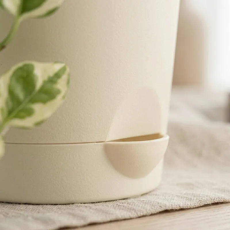 Close-up of the cream pot's self-watering opening