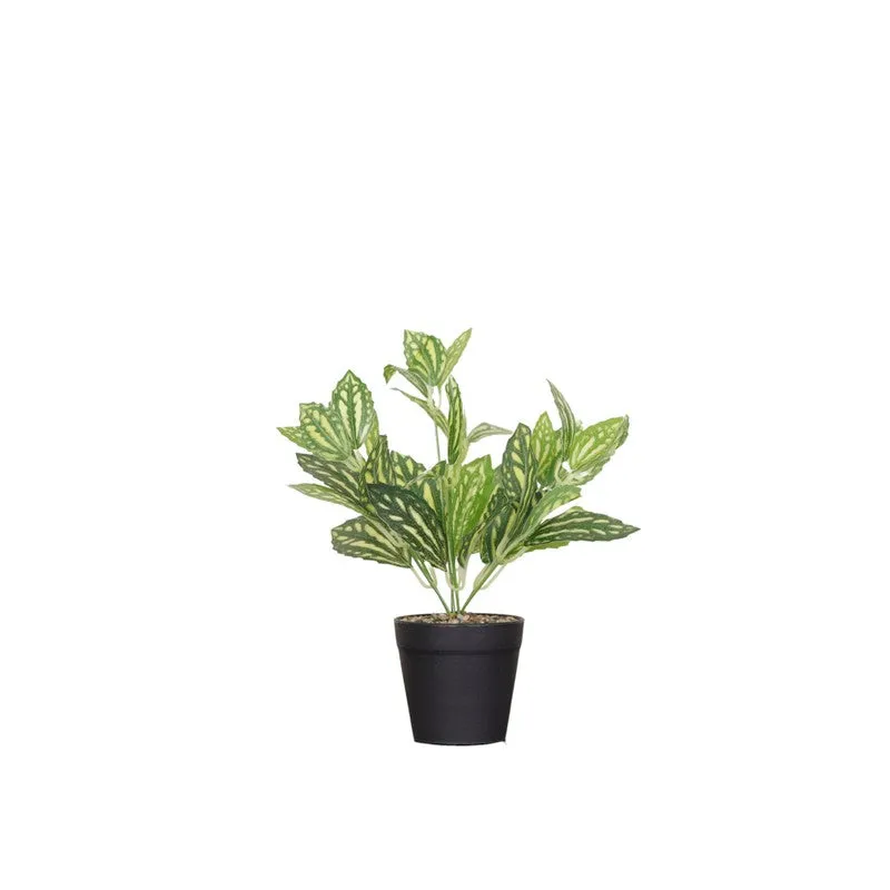 Watermelon Pilea Artificial Plant With Black Fiber Pot - 0.9 Feet media 4