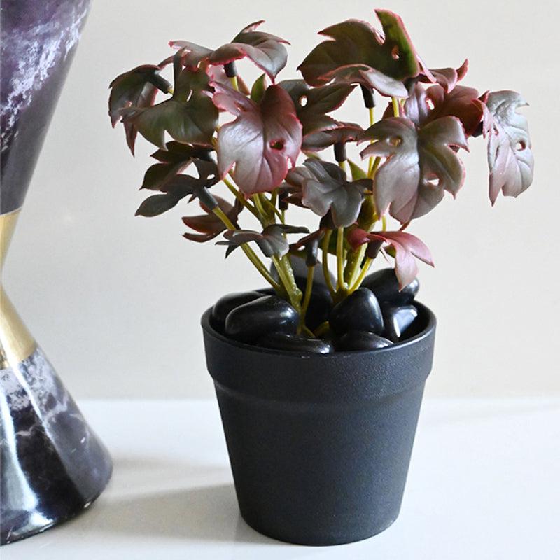 Minstera Artificial Mini Monstera Plant With Black Plastic Pot (Purple) - 16 cm media 3