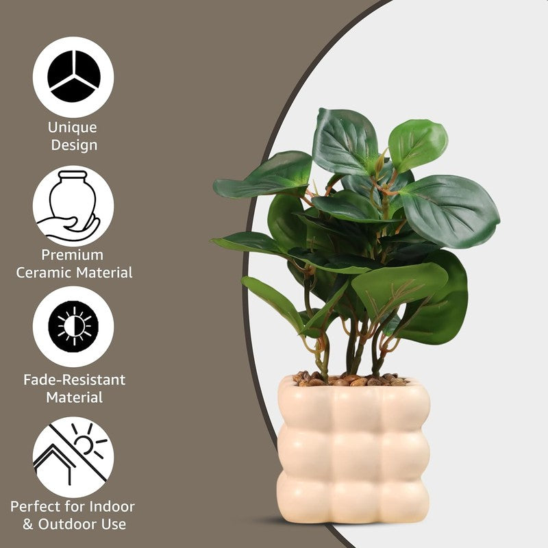 Ivory Bubble Vase with plant media 8