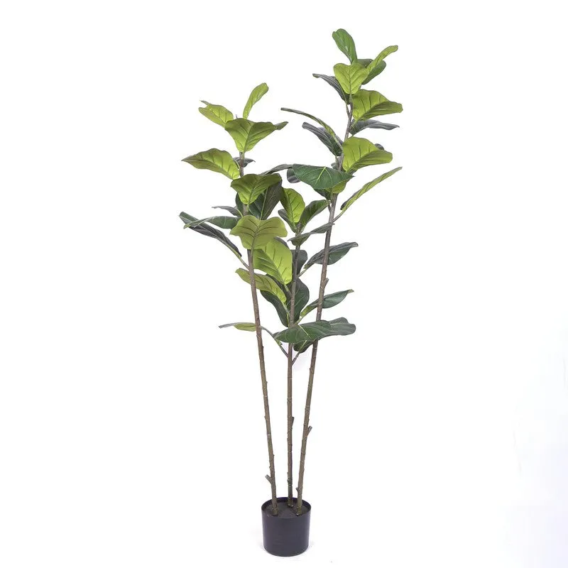 Artisan Fig Artificial Plant With Black Plastic Pot media 4