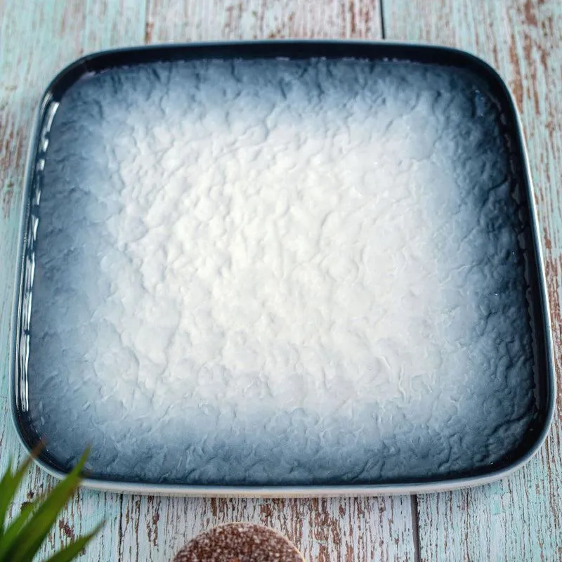 Nomura Square Porcelain Platter - Blue media 3