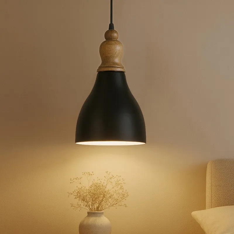 Qunira Ray Ceiling Lamp media 1