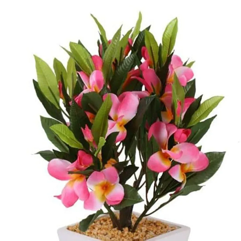 Faux Frangipani Bonsai (41 cms) - Pink media 3