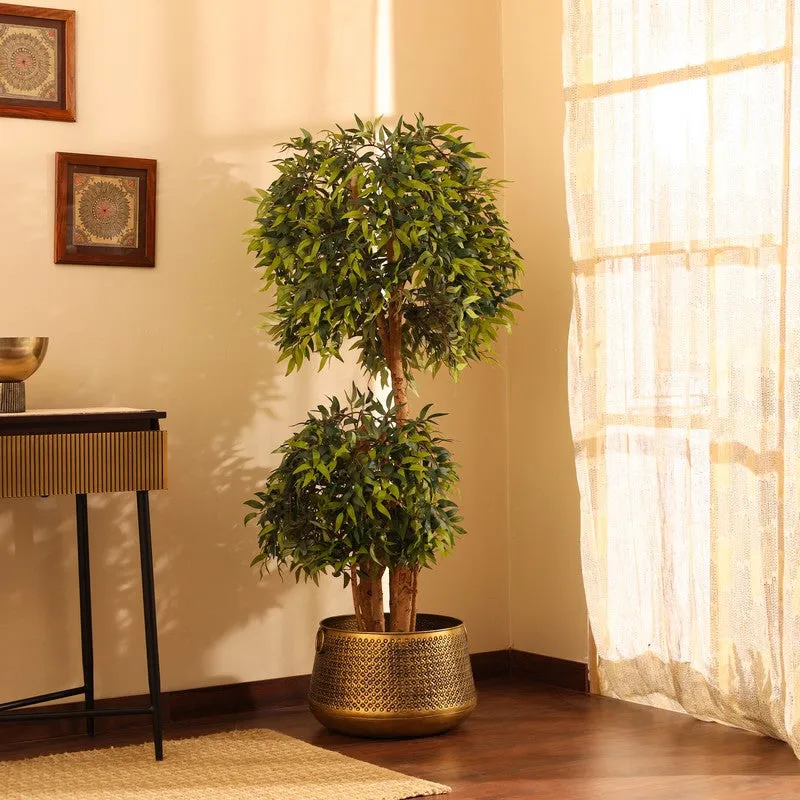 Artificial Ficus Bonsai Plant With Black Plastic Pot - 5.2 ft media 4