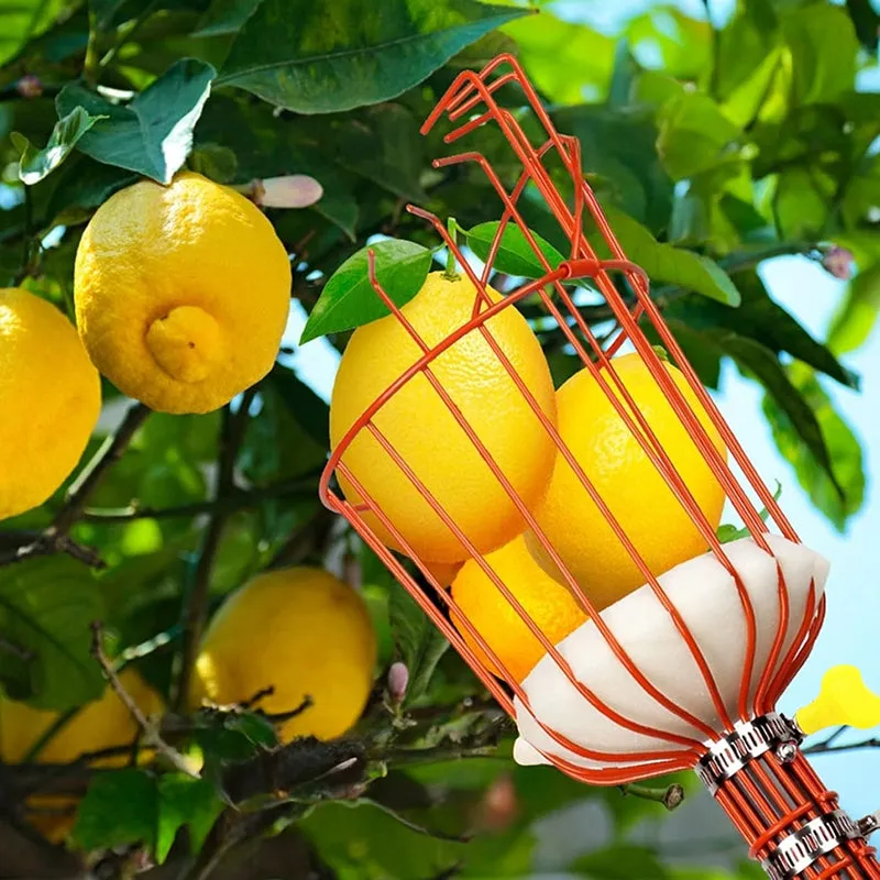 Pick Pro Fruit Picker - Orange media 1