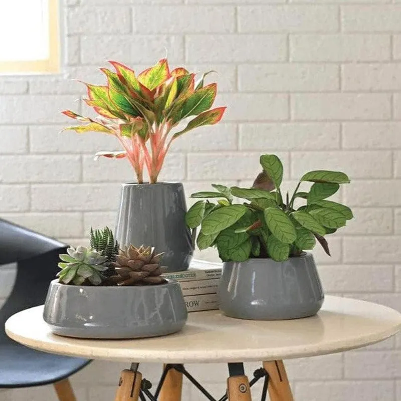 Ugaoo Tulip Fantasy Ceramic Planter (Grey) - Set Of Three media 3