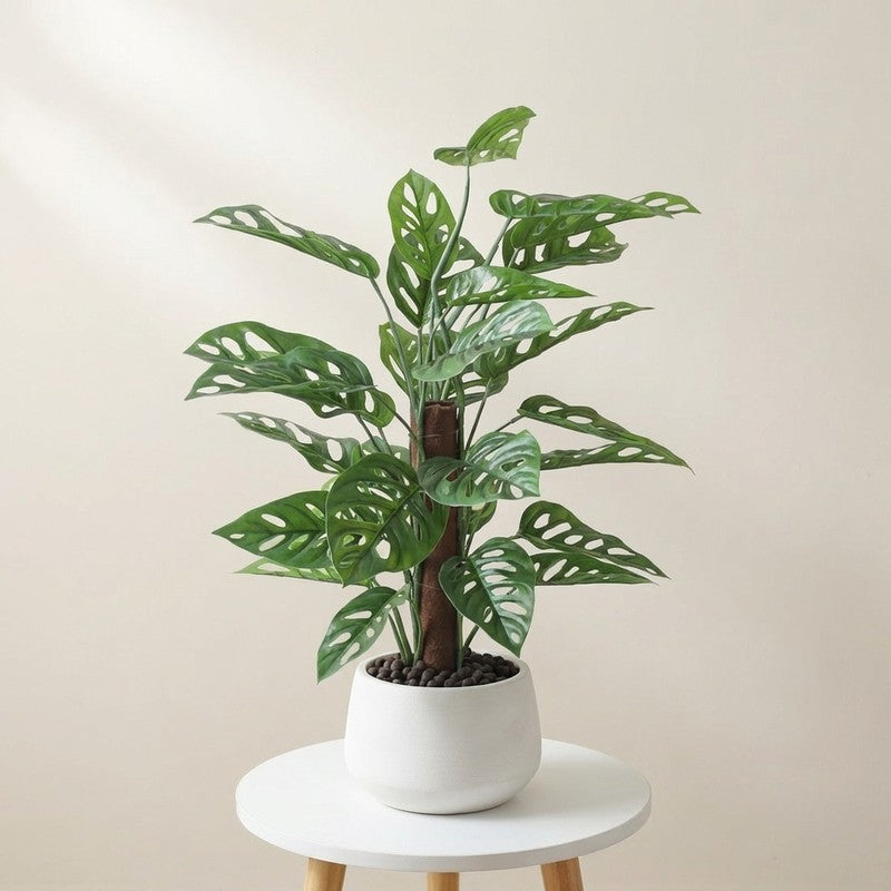 CalmRoot Artificial Plant With Black Plastic Pot - 2.0 ft