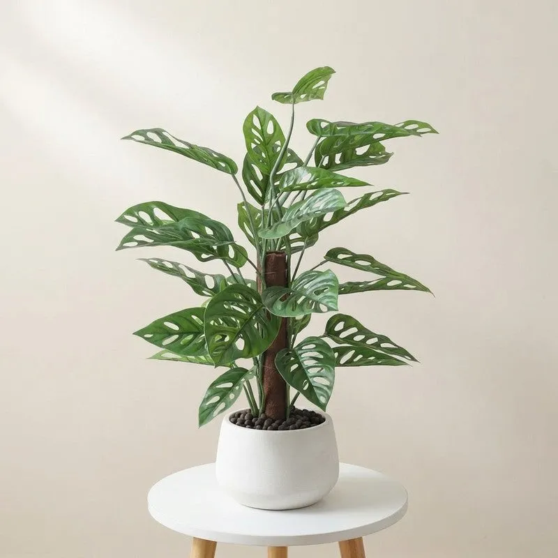 CalmRoot Artificial Plant With Black Plastic Pot - 2.0 ft media 1