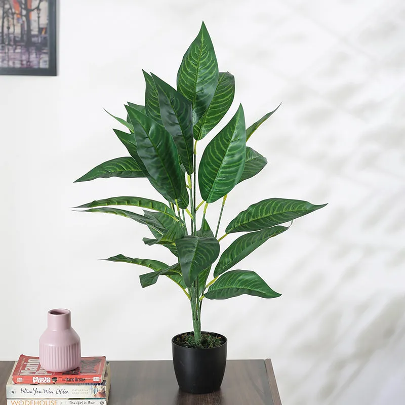 Faux Dark Green Croton Plant With Black Plastic Pot - 2.2 Feet media 3