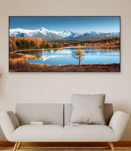 Canvas