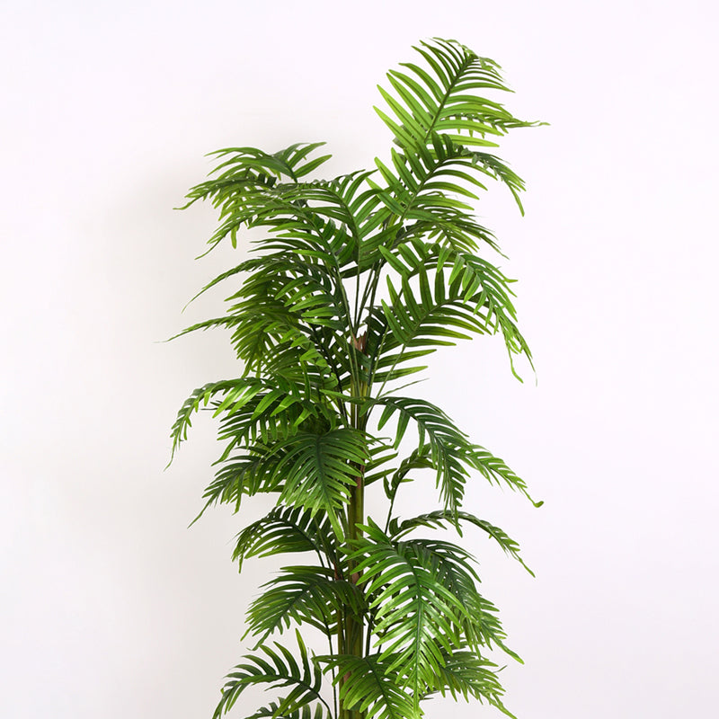 Verdiq II Artificial Plant With Black Plastic Pot - 6 Feet media 5