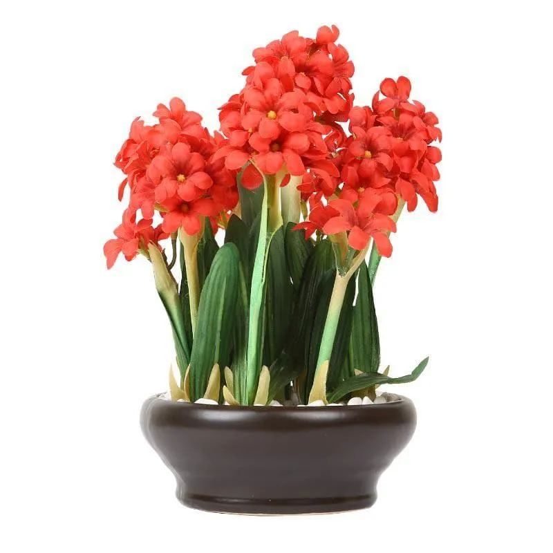 Faux Hyacinth Bonsai In Ceramic Pot (26 cms) - Red media 3