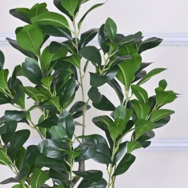Artificial Peperomia Plant Without Pot - 3 Feet media 5