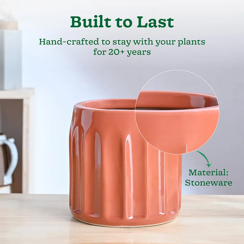 Ugaoo Straits Ceramic Planter - Coral media 3