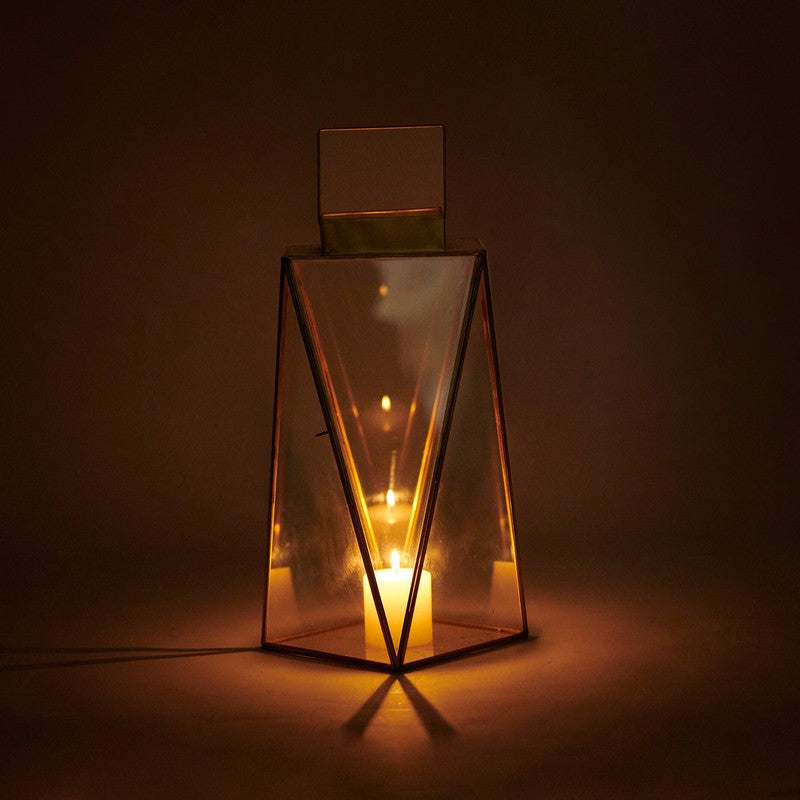 Orange Tree Alex Lantern media 4