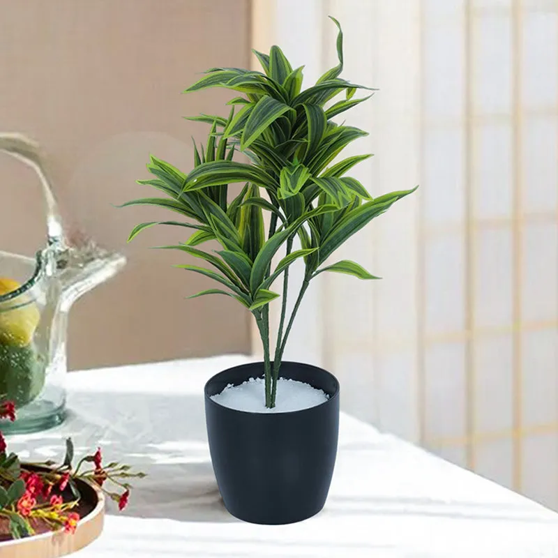Edeth Artificial Dracaena Plant With Black Plastic Pot - 1.3 Feet media 2