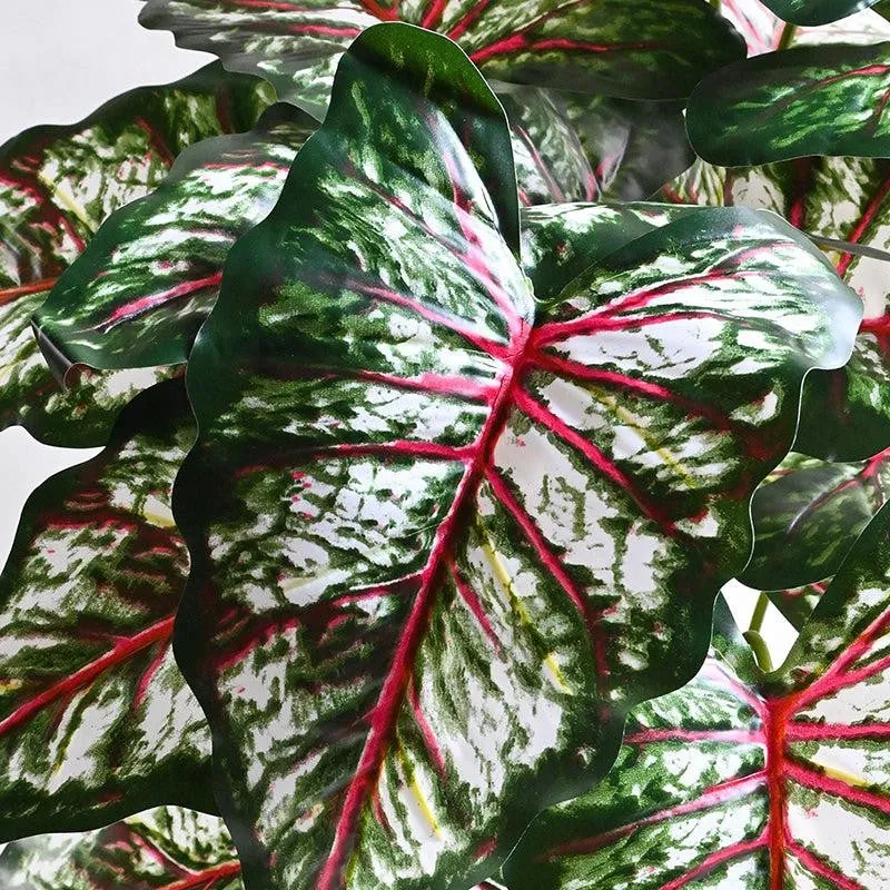 Faux Tropical Caladium Artificial Plant With Black Plastic Pot - 79 cm (2.6 ft) media 4