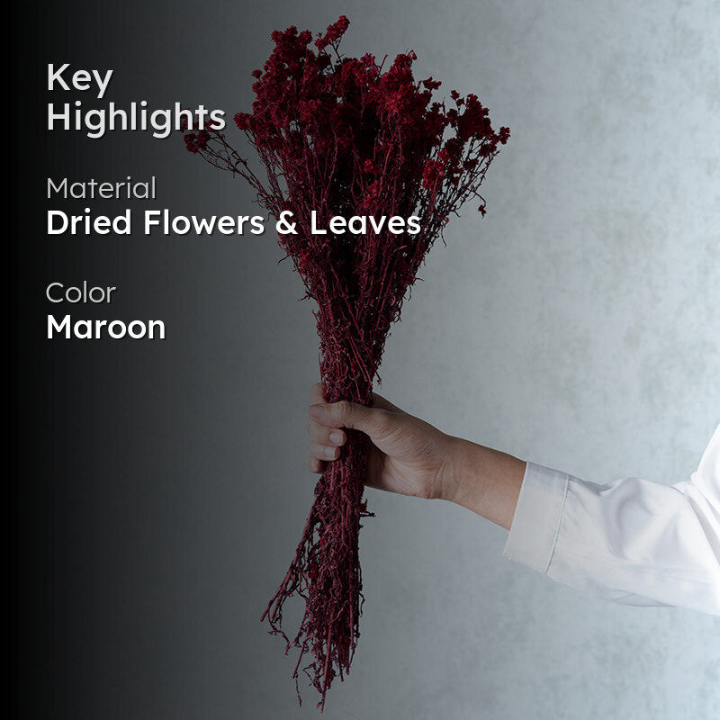 Gypsa Dried Baby's Breath Bunch - Maroon media 2