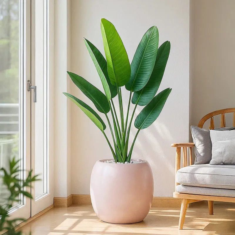 Kyari City Globe Fiberglass Planter media 3