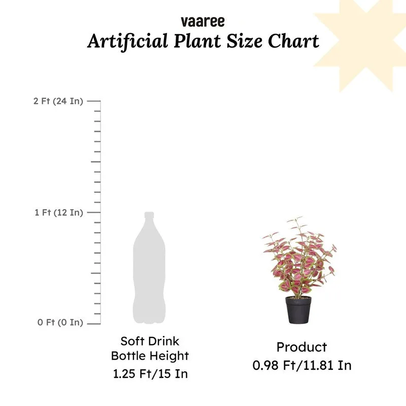 Artificial Coleous Plant With Black Fiber Pot (Pink) - 1 Feet media 7