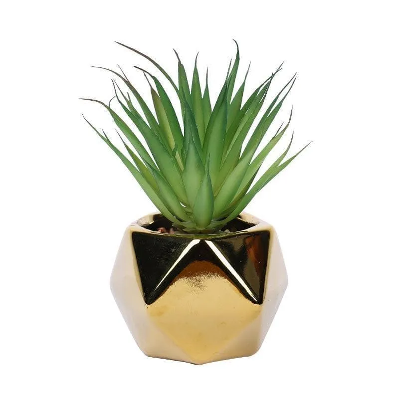 Faux Haworthia In Gold Ceramic Pot - 16 cms media 3