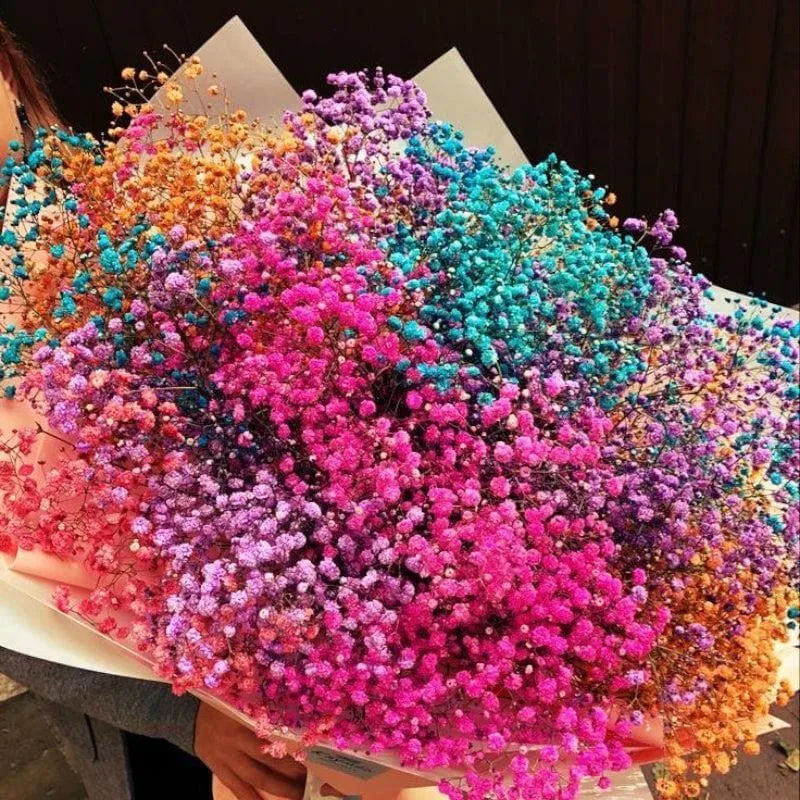 Baby Breath Gypsophila Dried Flower Stems - Set Of Seven media 3