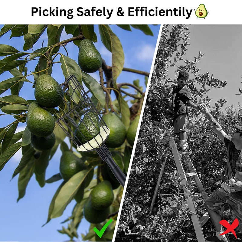 Pick Pro Fruit Picker - Black media 5